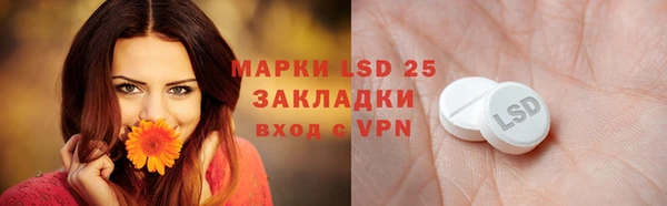 прущие грибы Осташков