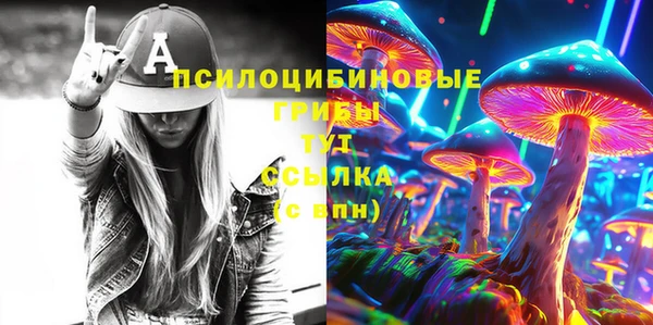 а пвп мука Няндома