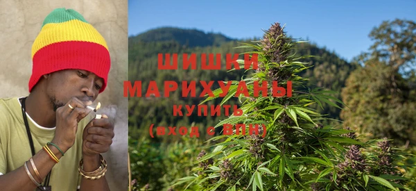 первитин Осинники