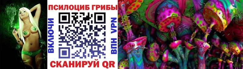 Псилоцибиновые грибы Cubensis  Кинель 