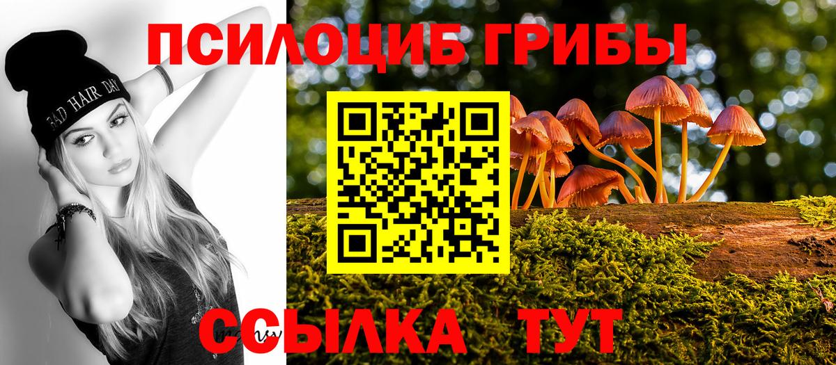 Кинель  где найти наркотики  Вход с VPN  Галлюциногенные грибы Magic Shrooms 