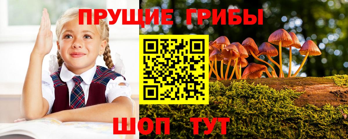 Галлюциногенные грибы Magic Shrooms Кинель