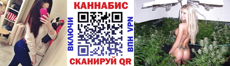Шишки марихуана MAZAR  omg ТОР  Кинель  цены  