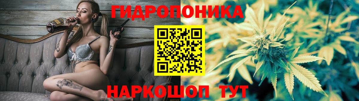 Конопля индика  Конопля тримм  Кинель 